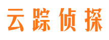 河东市私家侦探